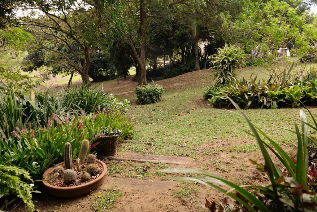 باليتو Evergreen Salt Rock المظهر الخارجي الصورة