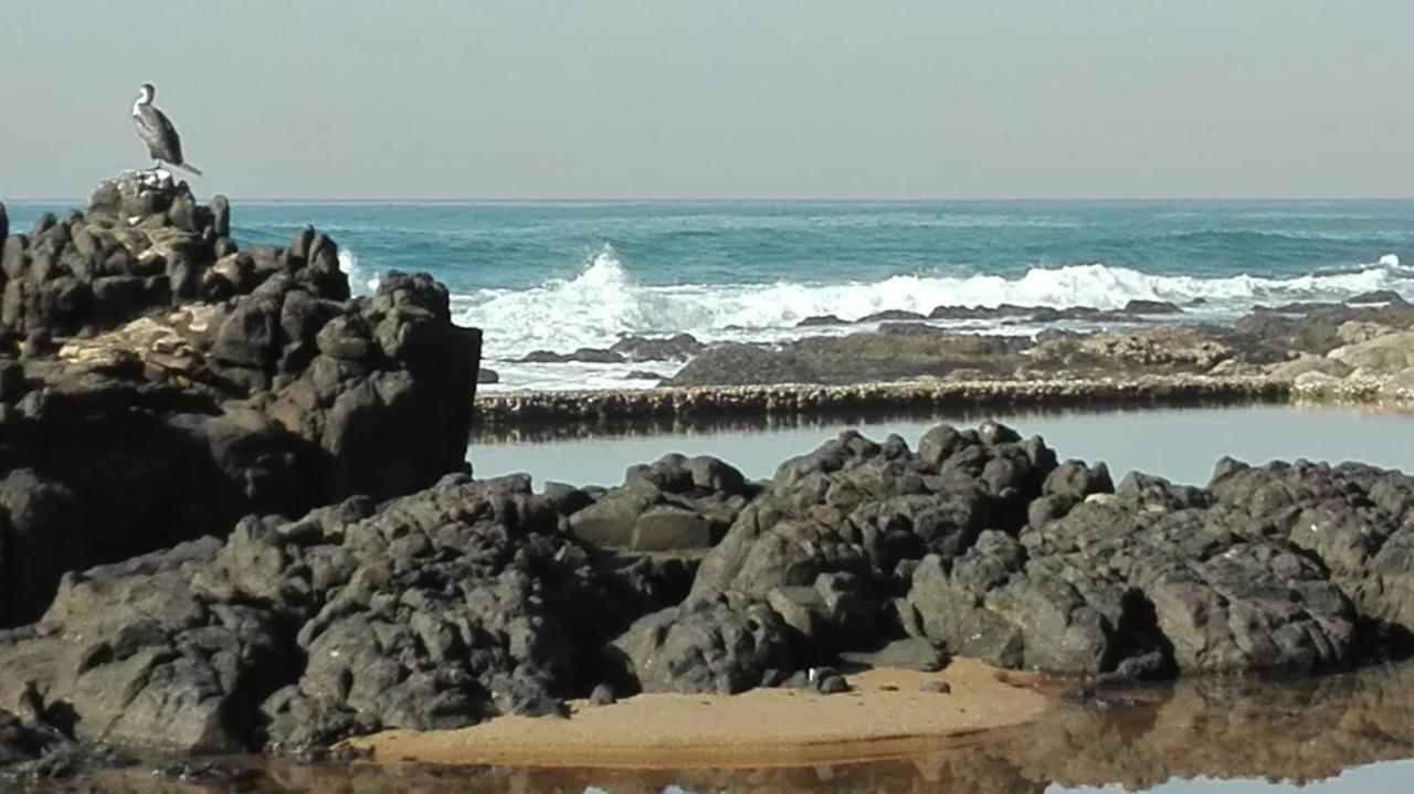 باليتو Evergreen Salt Rock المظهر الخارجي الصورة